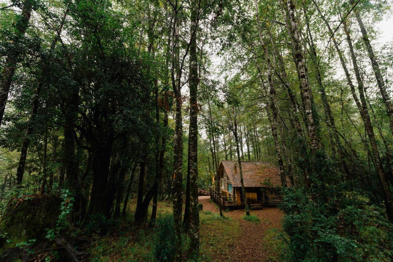 Huilo Huilo Cabanas Del Bosque Puerto Fuy Rum bild