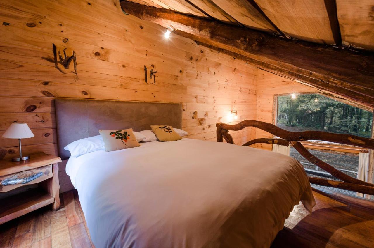 Huilo Huilo Cabanas Del Bosque Puerto Fuy Rum bild